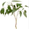 Arcadia Silk Plantation 36" Eucalyptus Spray Green (Pack of 12) view 1