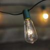 Northlight Edison Glass Indoor Outdoor Patio Light Set - Clear - 9' Green Wire - 10ct view 3