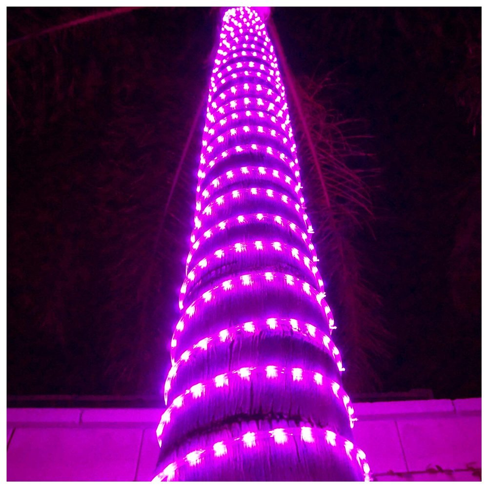 Russell Decor 50ft/15m Led Rope Lights Lamps Kit Indoor Outdoor Decorative Lighting for Party Wedding Valentine's Day Backyard Patio Deck Bright Flexible String Tube Lights Waterproof- Pink