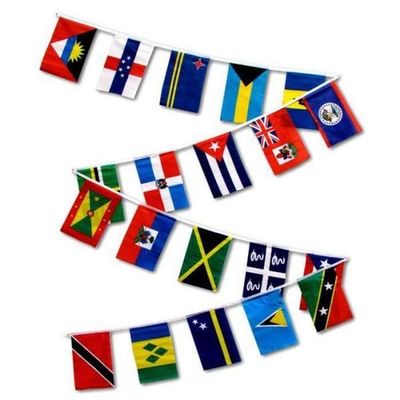 30ft String Flag Set of 20 Caribbean Country Flags 12x18 Pennants