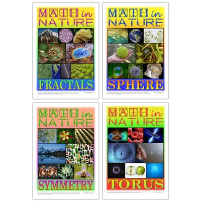 Platonic Realms Math in Nature Posters, Educational Set of 4; Fractals, Sphere, Symmetry, and Torus, Classroom Math Poster, Professional Educational Wall Art for Middle School, High School, College