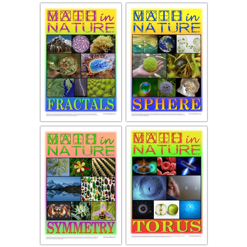 Platonic Realms Math in Nature Posters, Educational Set of 4; Fractals, Sphere, Symmetry, and Torus, Classroom Math Poster, Professional Educational Wall Art for Middle School, High School, College