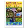 Platonic Realms Math in Nature Posters, Educational Set of 4; Fractals, Sphere, Symmetry, and Torus, Classroom Math Poster, Professional Educational Wall Art for Middle School, High School, College view 2