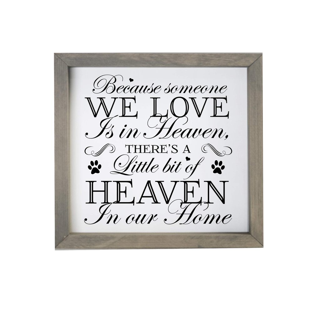 LifeSong Milestones Pet Memorial Framed Shadow Box Because Someone We Love Keepsake Loss of Loved One Sympathy Wall Art - 11.5 x 11.5 (White NP)