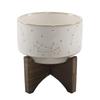 Flora Bunda 4 Inch Constellation Ceramic Pot on Wood Stand Mid Century,Ivory 4" view 1
