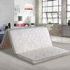 Tatami Tri-fold Mattress, Thick 3e Coconut Palm Mattress Pad Orthopedic Coir Sleeping Mat Firm Feel Quiet Guest Bed Floor Mat-White 150x190cm(59x75inch) view 2