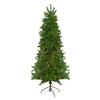 Northlight 6.5' Pre-Lit Canadian Pine Slim Artificial Christmas Wall Tree - Multicolor Lights view 1