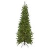 Pre-Lit Canadian Pine Artificial Pencil Christmas Tree - 6.5' - Clear Lights view 1