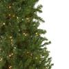 Pre-Lit Canadian Pine Artificial Pencil Christmas Tree - 6.5' - Clear Lights view 3