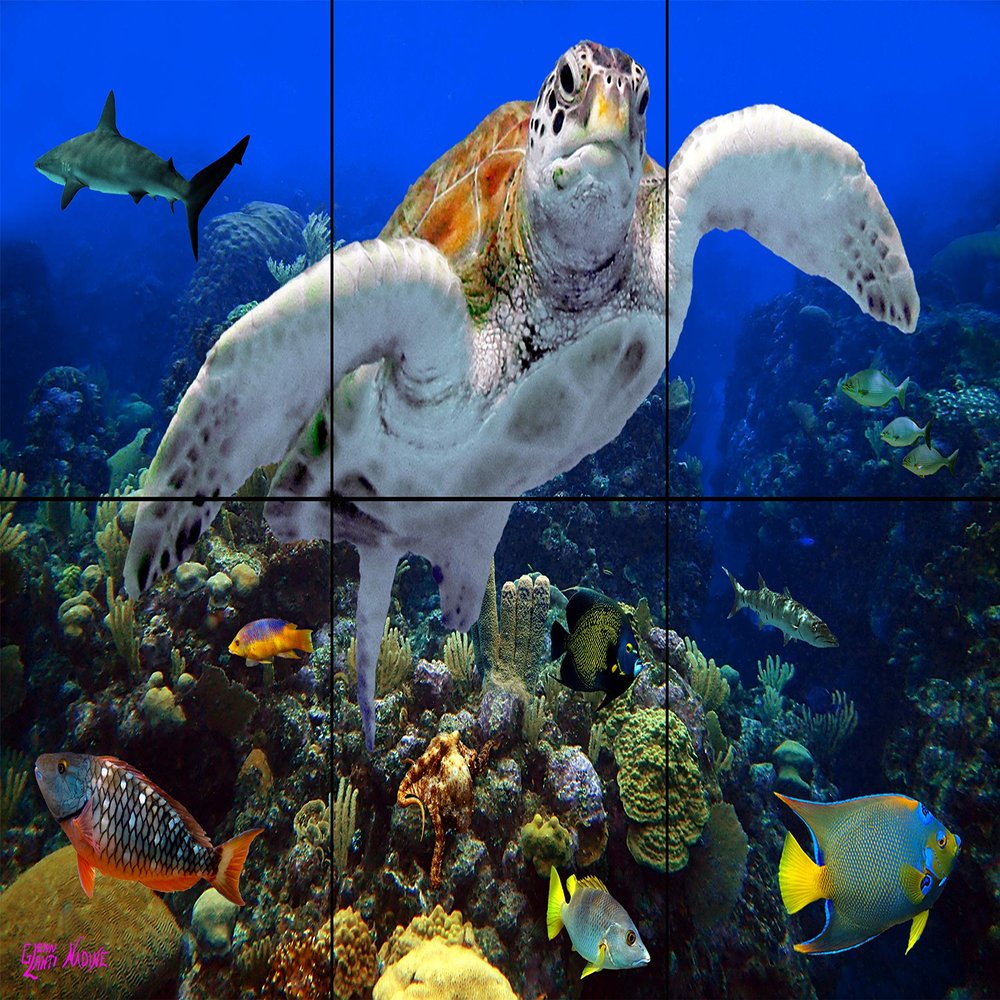A Coral Community Tile Mural 12 x 18 Inches | Beautiful Under Water Photography Printed on Ceramic Tiles | Original Photos by Florida Keys Artist Nadine and Glenn Lahti