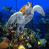 A Coral Community Tile Mural 12 x 18 Inches | Beautiful Under Water Photography Printed on Ceramic Tiles | Original Photos by Florida Keys Artist Nadine and Glenn Lahti view 1