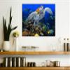 A Coral Community Tile Mural 12 x 18 Inches | Beautiful Under Water Photography Printed on Ceramic Tiles | Original Photos by Florida Keys Artist Nadine and Glenn Lahti view 2