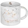 Coffee cups mugs Couple Constellation CupLarge Capacity MugHousehold Coffee Cup, Water BottleGrey 12 Constellation Cup380ML (Color : Gray F, Size : 380ML) view 1