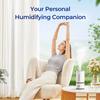 raydrop Cool Mist Humidifiers for Home Babies, 1.70 L Quiet and Small Ultrasonic Humidifier for Bedroom Nightstand, Space Saving, Auto Shut Off - (0.45 Gallon, US 110 V) view 2