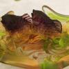 Amore Jewell Forever Love Fish Couple Fengshui Decoration Ornament Gift for Home & Office (Liuli Crystal Glass) view 4