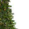 Real Touch Pre-Lit Full Rosemary Emerald Angel Pine Artificial Christmas Tree - 9' - Clear LED Lights view 4