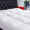 COONP Queen Mattress Topper, Extra Thick Pillowtop, Cooling and Plush Mattress Pad Cover Cotton Top Bed Topper Protector with 8-21 Inch Deep Pocket view 1