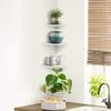 AYNEFY White Corner Wall Shelves,3 Piece Wall Mounted Floating Corner Shelf,Scalloped Floating Bookcase, Wall Display Rack Holder for Bathroom Bedroom Livingroom Kitchen Office (3pcs White) view 1