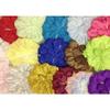 White Iridescent Capia Flowers Bulk Wholesale Flat Carnation Base72 Pieces view 2