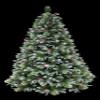 HOLIDAY STUFF Super Full Frosted Pine Christmas Tree Decorated with Natural Pine Cones (5ft Unlit) view 1