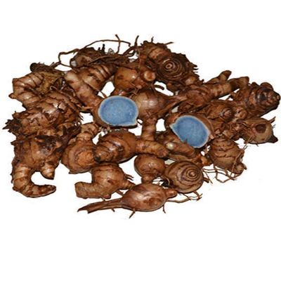 jaisakshi Kali haldi, Black Turmeric Kali haldi/Kali Haldi Turmeric (Black) 9Pc, Kali haldi/Kali hald for puja, Kali haldi Products, Black Turmeric, Black Turmeric,  , karumanjal,