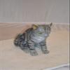 NIFAO Sitting Cat Bronze Statue - Size: 11" L x 6" W x 11" H. view 3