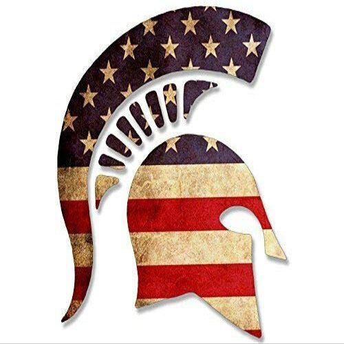 Magnet 6x6 inch Side View Spartan Helmet Shaped American Flag Sticker (us USA Gun NRA) Magnetic Magnet Vinyl Sticker