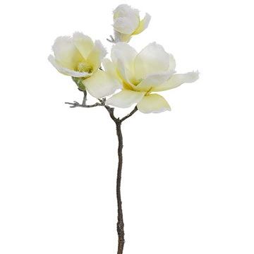 Arcadia Silk Plantation 24.5" Snowed Magnolia Spray Beige Snow (Pack of 12)