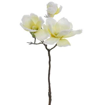 Arcadia Silk Plantation 24.5" Snowed Magnolia Spray Beige Snow (Pack of 12)