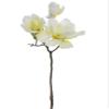 Arcadia Silk Plantation 24.5" Snowed Magnolia Spray Beige Snow (Pack of 12) view 1