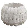 6"Hx9.5"D Sea Shell Container Antique White (pack of 2) view 1