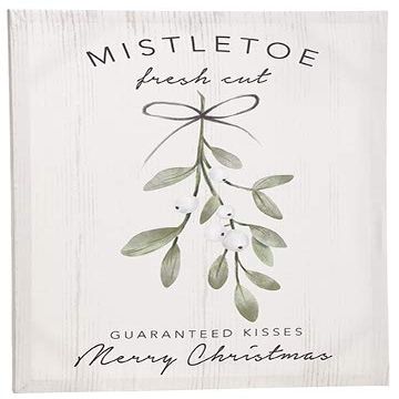 Arcadia Silk Plantation 15" Wx20 L Fresh Cut Mistletoe Wall Decor White Green (Pack of 6)
