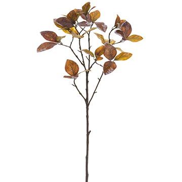 30" Frosted Enkianthus Spray Brown (pack of 12)