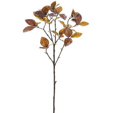 30" Frosted Enkianthus Spray Brown (pack of 12)