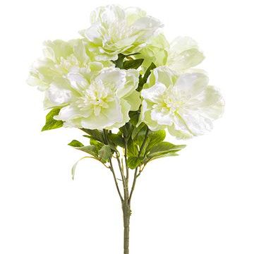 20" Velvet Open Peony Bush x5 (pack of 6)