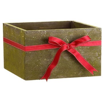 Arcadia Silk Plantation 9" Hx11 Wx11 L Wood Box Green (Pack of 4)