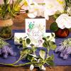 Sparkle and Bash Succulent Table Numbers - 4x6 in, Pack of 25, Gold Foil Cactus Design - Floor-Standing Wedding & Baby Shower Table Number Signs view 2
