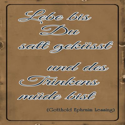Schatzmix Blechschild Spruch Lebe bis du satt geksst und des Trinkens mde 20x30 Deko Tin-Plate Sign, 20x30 cm, Multicoloured
