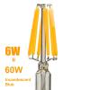 Low Voltage E27 LED Bulbs 6W A60 12V 24V 36V AC Edison LED Filament Bulb Lamp Light AC/DC12-36V for RV Camper Marine,Solar Power Light and Off Grid 10-Pack view 3