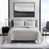 Vera Wang - Queen Quilt Set, Super Soft Bedding Set with Matching Shams, Modern Room Essentials (Diamond Velvet Natural, Queen) view 4