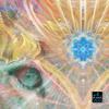 Lion Tapestry | Lion Art | Lion Wall Hanging | Sacred Geometry | Third Eye Visionary Art | Trippy Art | DMT Tapestry | Animal Totem | Atlan The Lion (Small) view 3