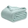 Bedsure Gentlesoft 100% Cotton Blanket Queen Size for Bed - Cooling Breathable and Soft for Spring Summer, Thick Cozy Waffle Weave Blanket Gifts for Women, Mint, 90x90 Inches view 1