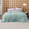 Bedsure Gentlesoft 100% Cotton Blanket Queen Size for Bed - Cooling Breathable and Soft for Spring Summer, Thick Cozy Waffle Weave Blanket Gifts for Women, Mint, 90x90 Inches view 3