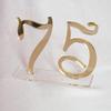 Elegant Mirror Acrylic Standing Table Numbers, Mirrored Wedding Decor (Gold, 1-10) view 4