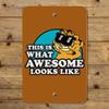 GRAPHICS & MORE Garfield This is What Awesome Looks Like Home Business Office Sign view 4