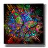 Epic Graffiti 'Monarch' Canvas Wall Art, 18"x18" view 1