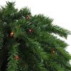 4' Pre-Lit Artificial Tropical Outdoor Patio Palm Tree - Multicolor Lights view 3