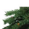 4' Pre-Lit Artificial Tropical Outdoor Patio Palm Tree - Multicolor Lights view 4
