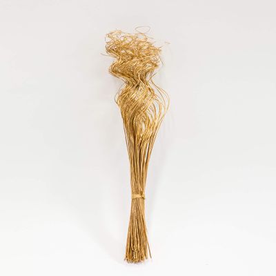 Ting Ting Multicolored or Single-Colored Sparkle Glitter Branches Vase Filler Table Centerpiece Wedding Christmas Holiday & Home Decoration 26" Long (Gold (no Glitter), 2 BUN)