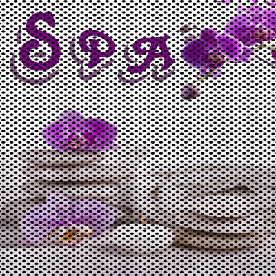 Spa II Day Treatment Salon Sign Advertising Marketing Dcor Vertical (Perforated 70/30 See Through Window Vinyl (Outdoors), 30")
